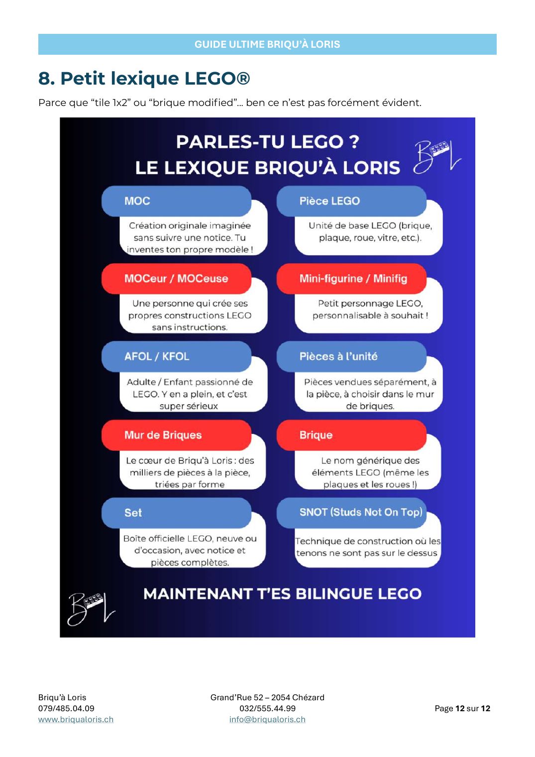 Aperçu du Guide ultime du rangement LEGO® : le petit lexique LEGO®