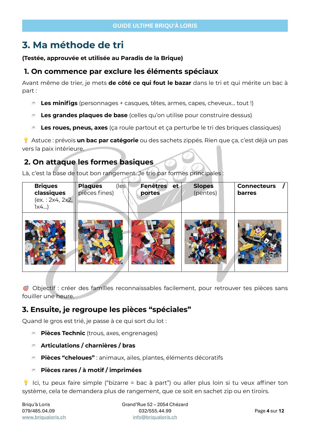 Aperçu du Guide ultime du rangement LEGO® : la méthode de tri Briqu'à Loris